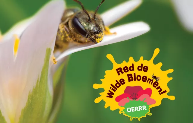 Red de wilde bloemen!