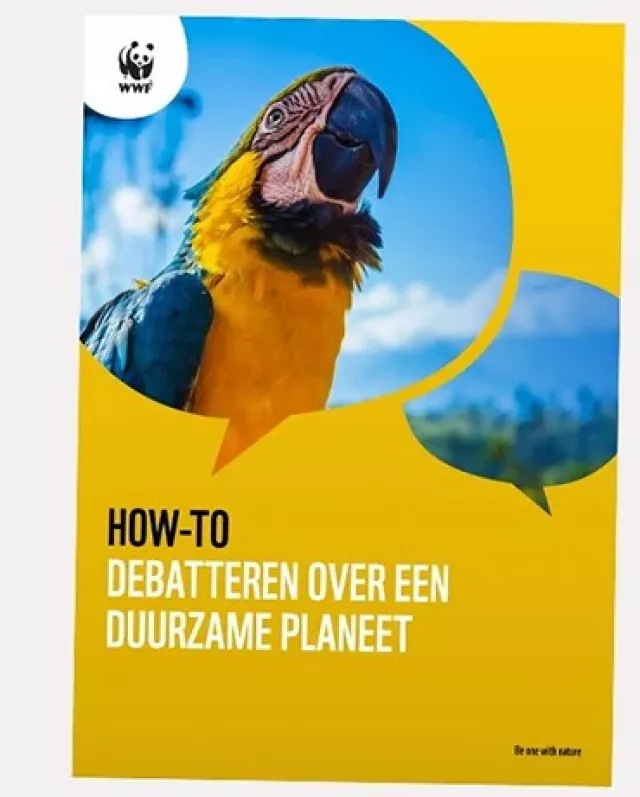 Scholen in actie voor duurzaamheid